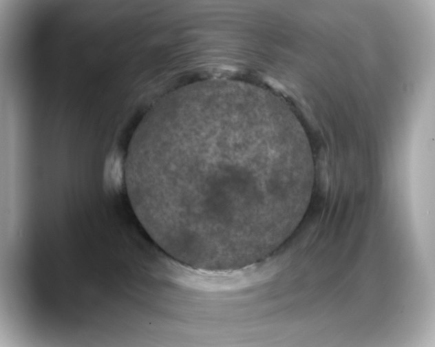 X0000088430042200706051238