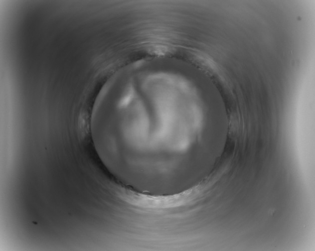 X0000088430043200706051238