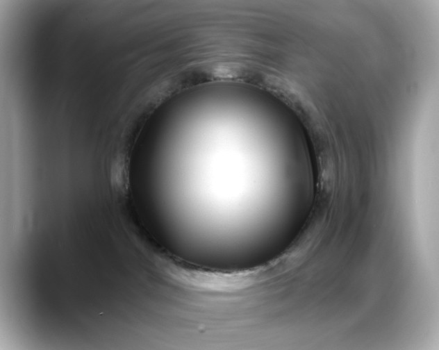 X0000088430044200706051238