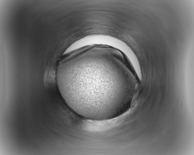 X0000088430045200706051238