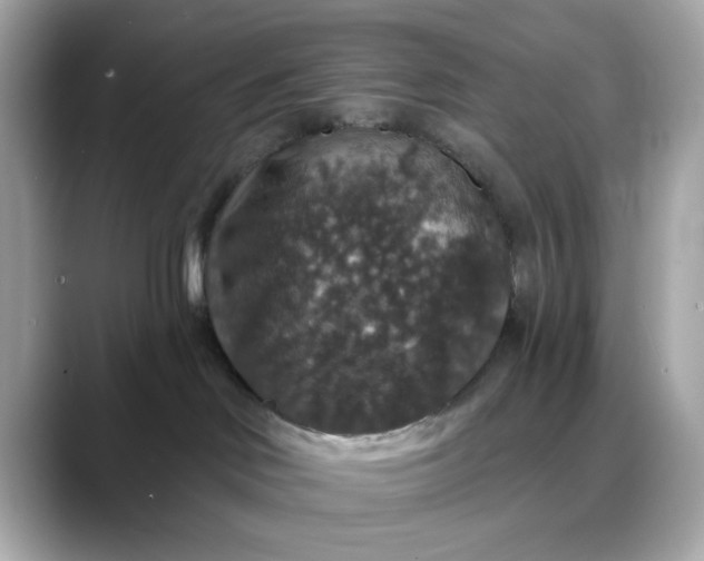 X0000088430046200706051238