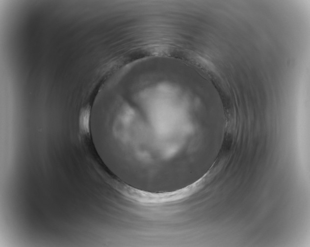 X0000088430047200706051238