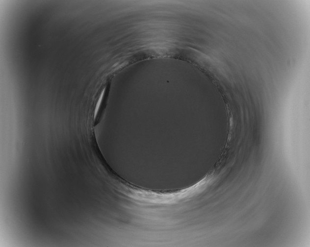 X0000088430048200706051238