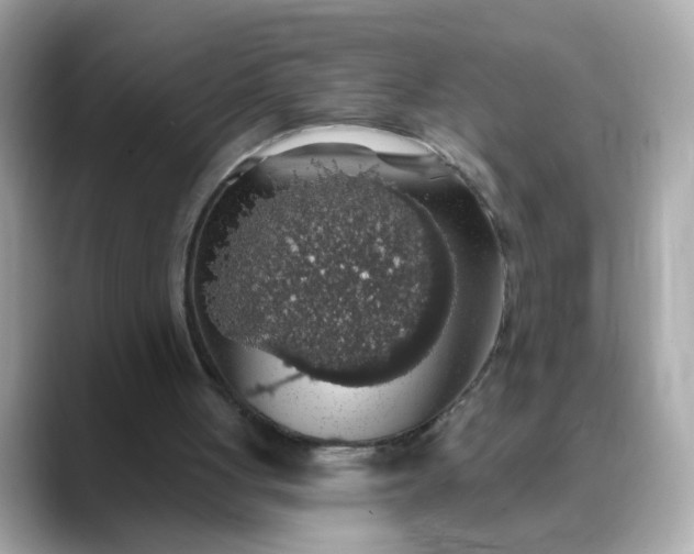 X0000088430051200706051237