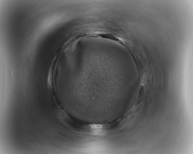 X0000088430052200706051237