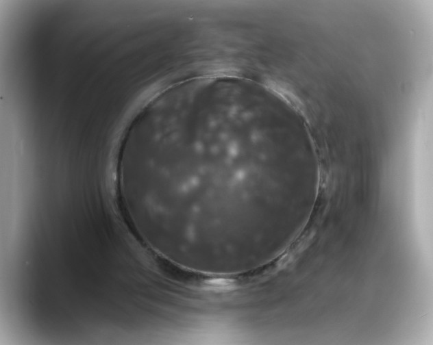 X0000088430053200706051237