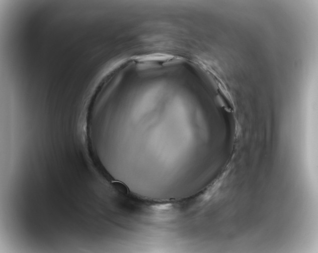 X0000088430054200706051237