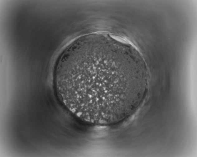 X0000088430055200706051237