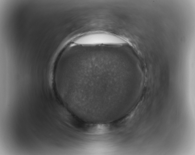 X0000088430056200706051237