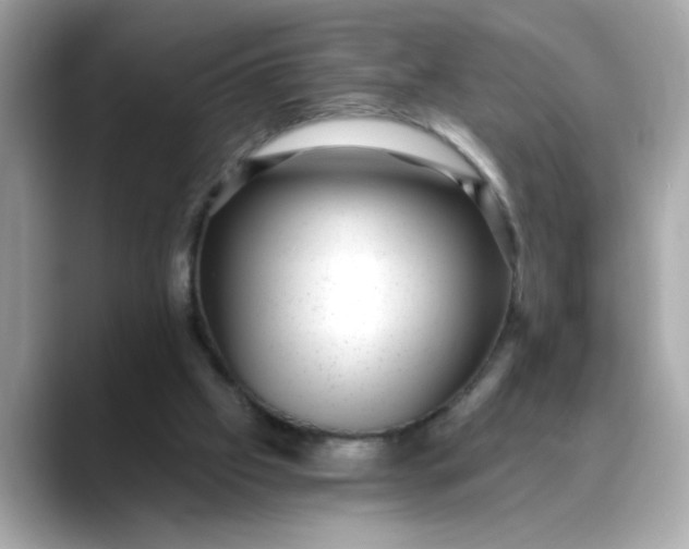 X0000088430057200706051237