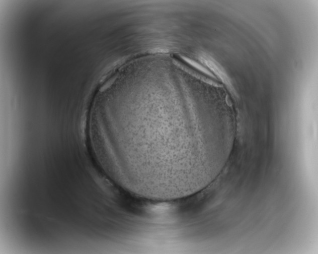 X0000088430058200706051237