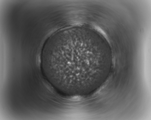 X0000088430059200706051237