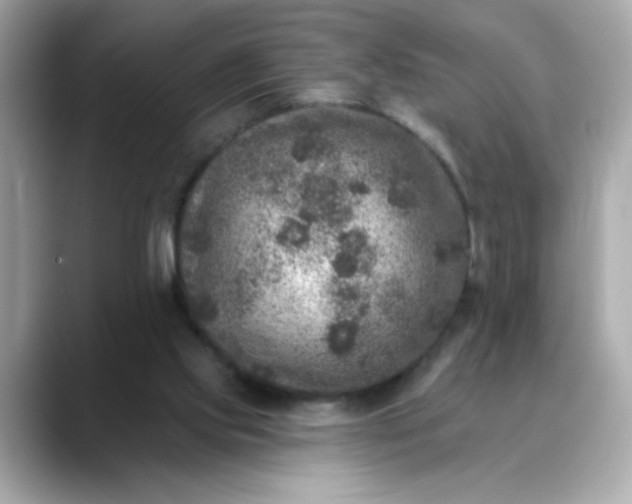 X0000088430061200706051237