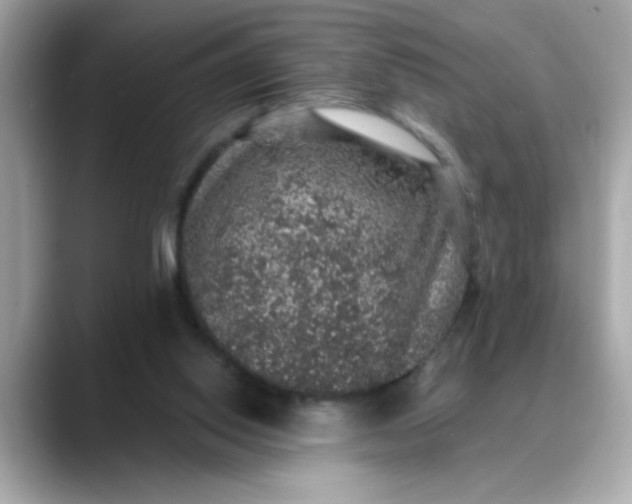 X0000088430062200706051237