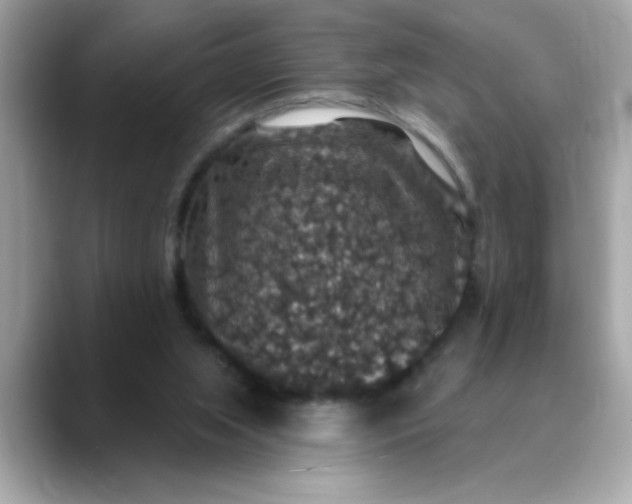 X0000088430063200706051237