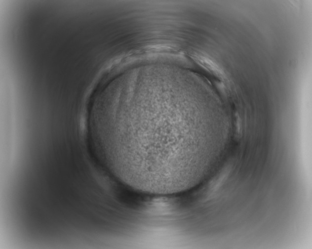 X0000088430064200706051237