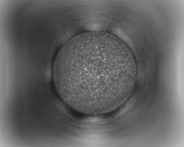 X0000088430065200706051237