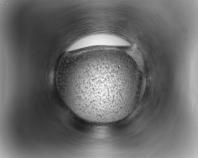 X0000088430066200706051237