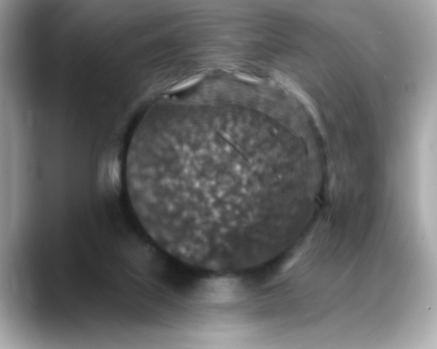 X0000088430067200706051237