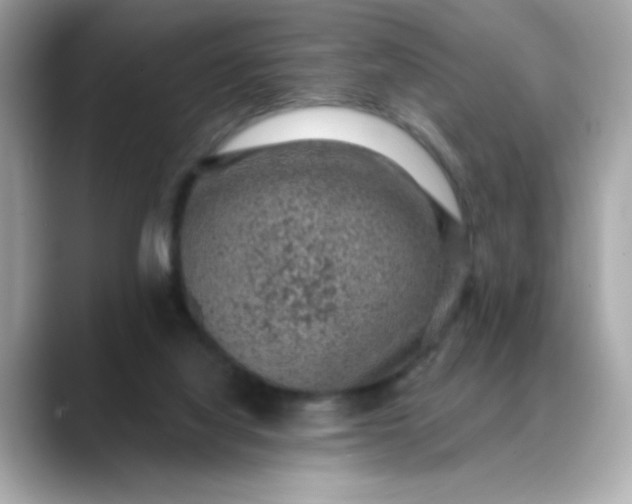 X0000088430068200706051238