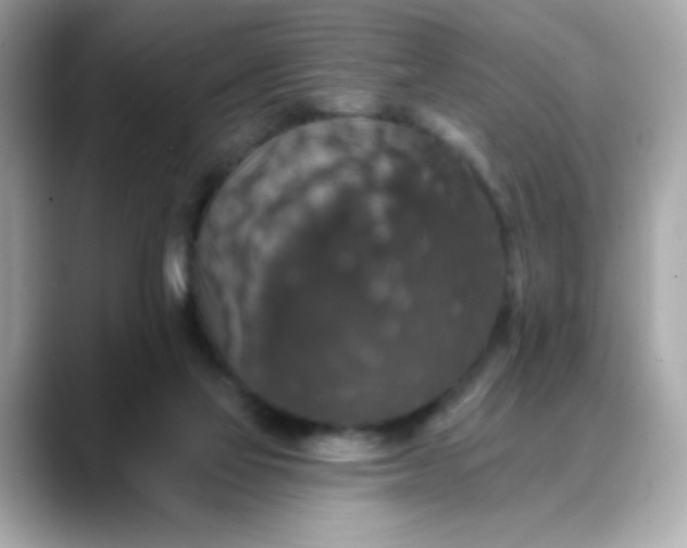 X0000088430069200706051238