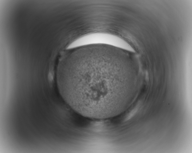 X0000088430072200706051238