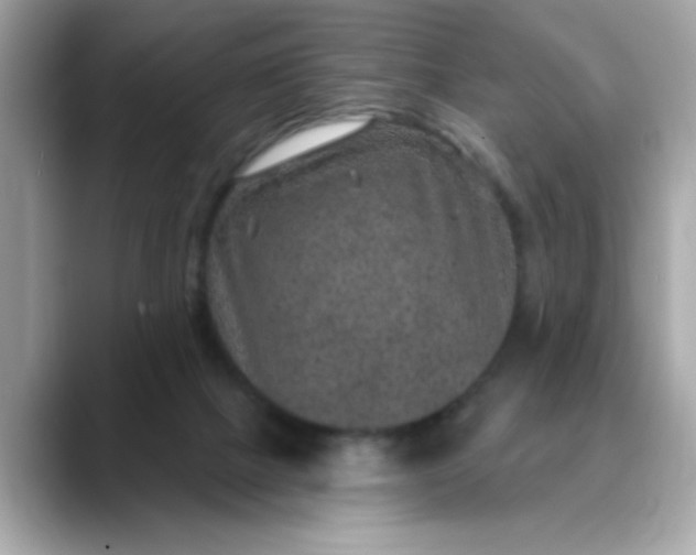 X0000088430073200706051238