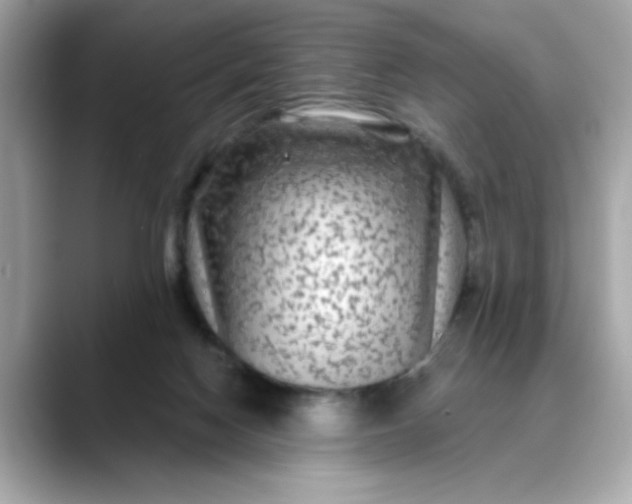 X0000088430074200706051238