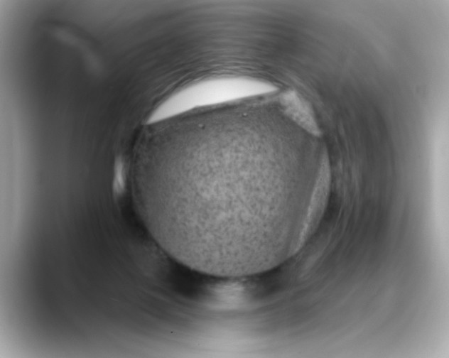 X0000088430075200706051238