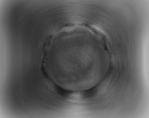 X0000088430076200706051238