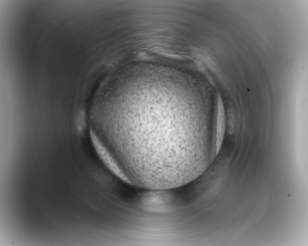 X0000088430077200706051238