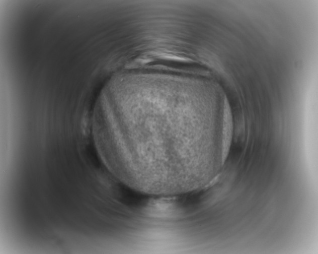 X0000088430078200706051238