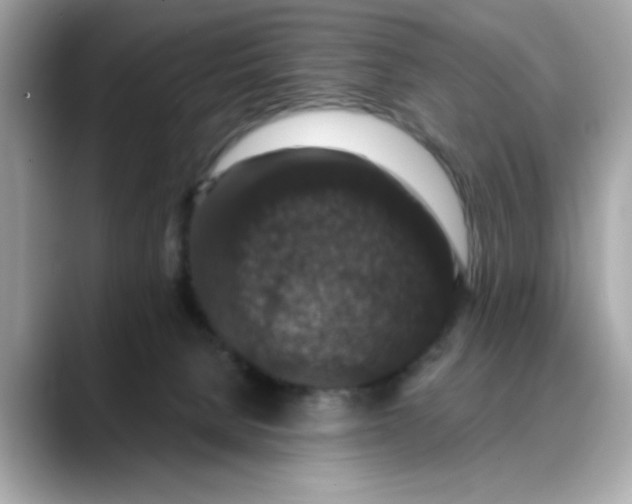 X0000088430080200706051238