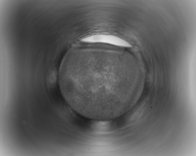 X0000088430081200706051238