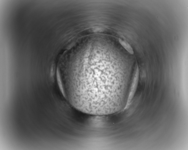 X0000088430082200706051238