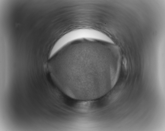 X0000088430084200706051238