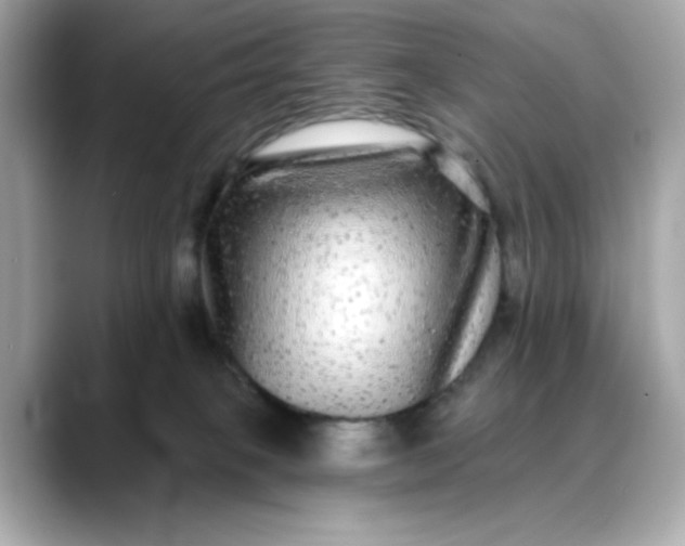 X0000088430085200706051238