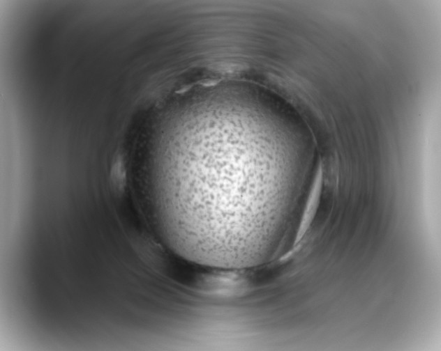 X0000088430086200706051238