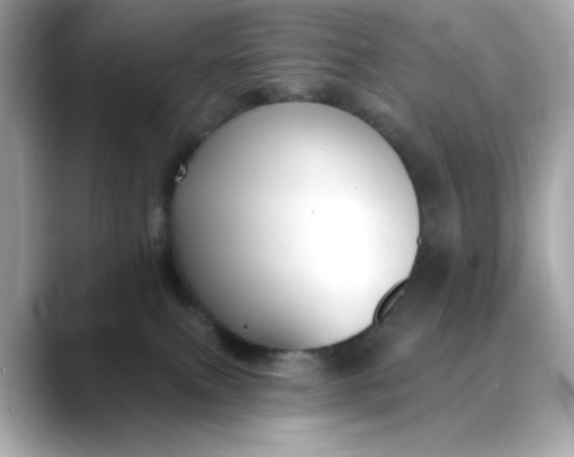 X0000088430087200706051238