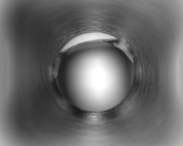 X0000088430088200706051238