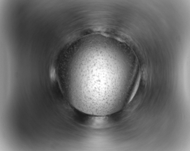 X0000088430089200706051238