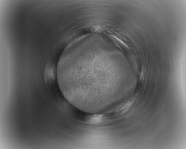 X0000088430090200706051238