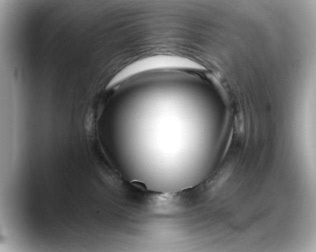 X0000088430092200706051238