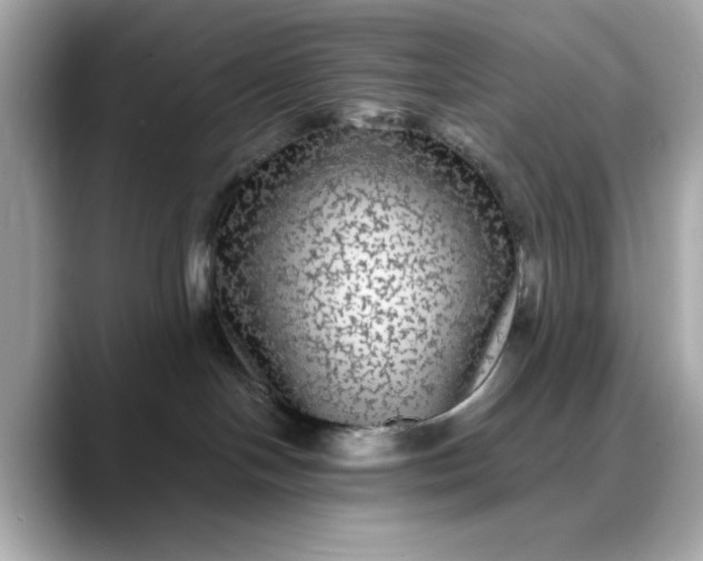 X0000088430094200706051238