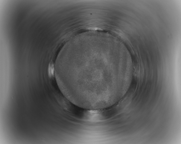 X0000088430095200706051238