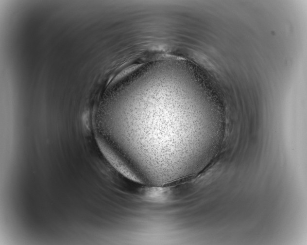 X0000088430096200706051238