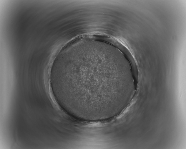 X0000088430097200706051237