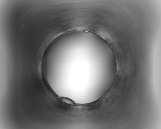 X0000088430098200706051237