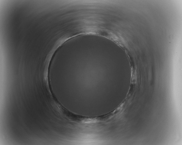 X0000088430099200706051237