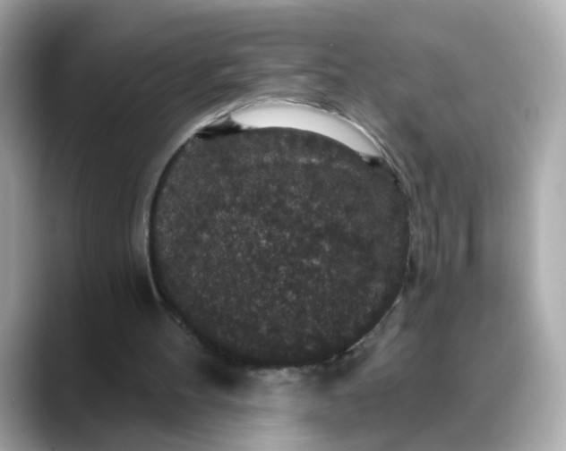 X0000088430100200706051237